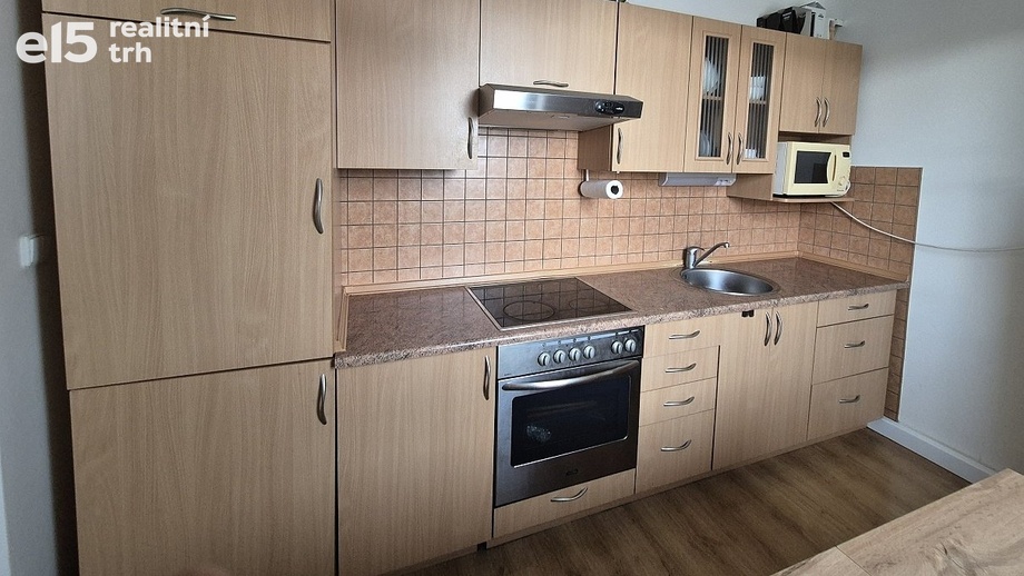 Pronájem bytu 1+1 46 m², Plzeň 2-Slovany