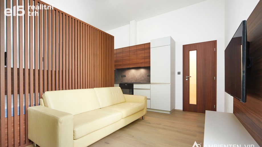 Pronájem bytu 1+kk 35 m², Brno