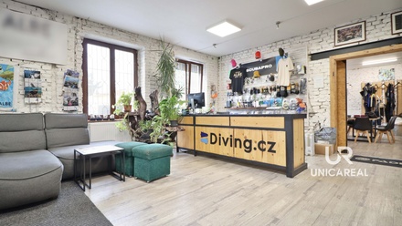 Pronájem obchodního prostoru 130 m², Brno - Husovice