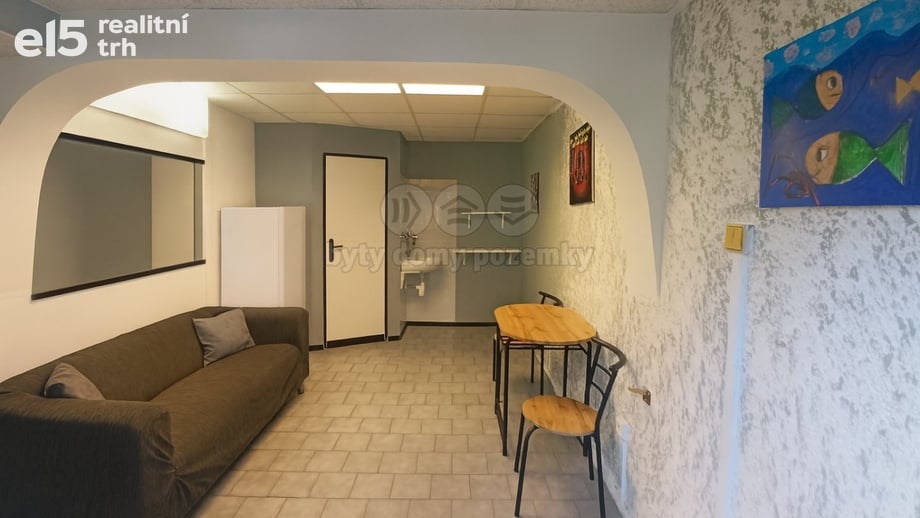 Pronájem specifické nemovitosti 29 m², Most