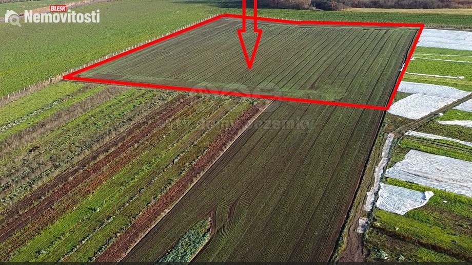 Prodej zahrady 9 979 m², Nové Dvory