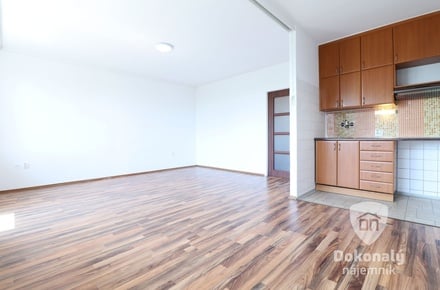 Pronájem bytu 1+kk 35 m², Praha - Břevnov