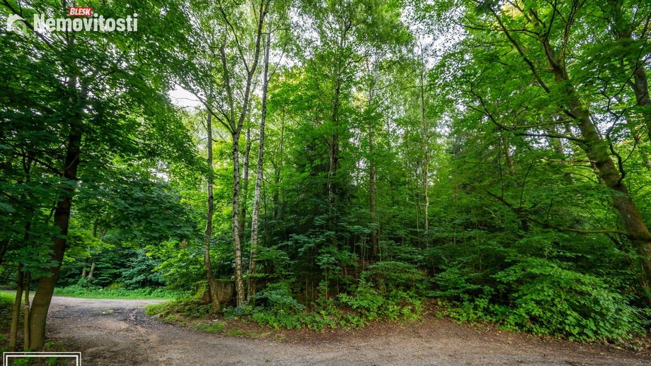 Prodej lesa 5 031 m², Nová Ves nad Nisou