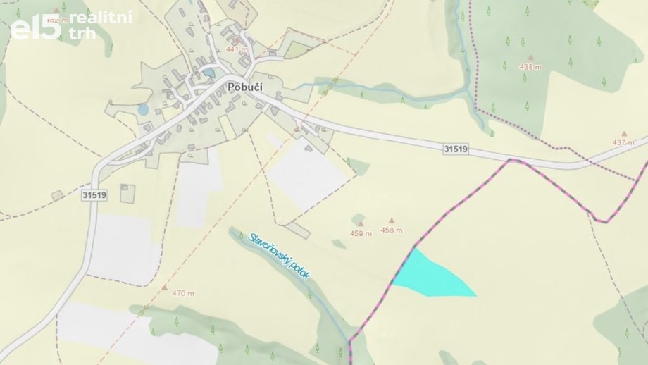 Prodej pole 12 941 m², Lukavice - Slavoňov