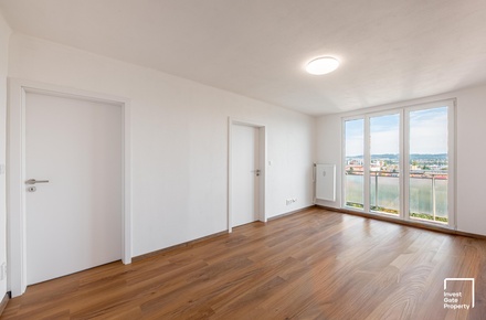 Pronájem bytu 3+1 63 m², České Budějovice 7