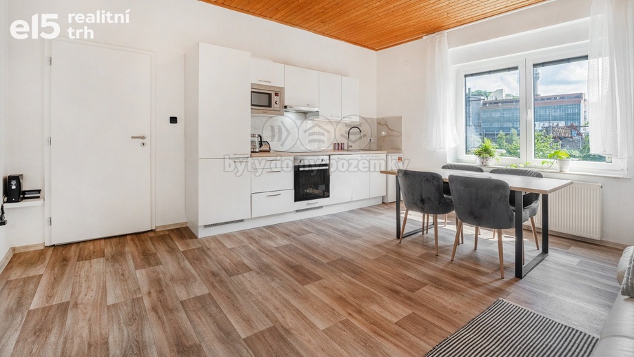 Prodej činžovního domu 181 m², Ústí nad Labem-Střekov