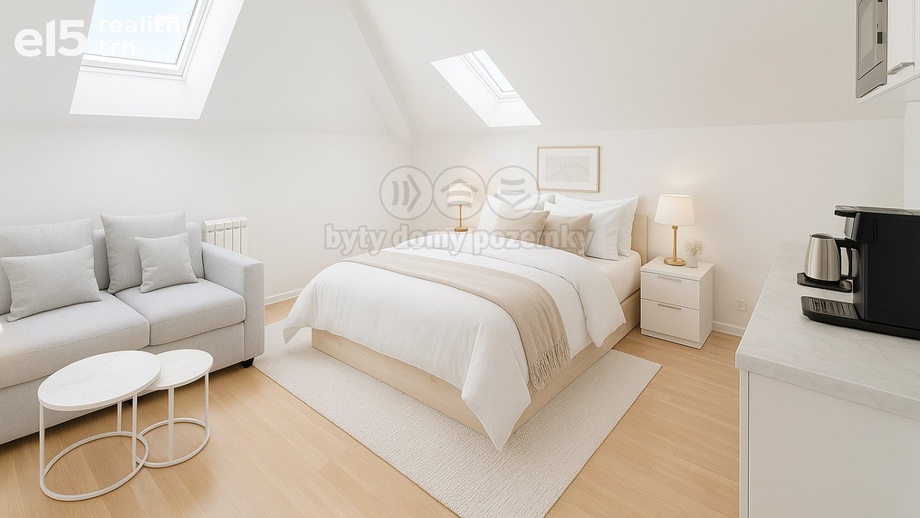 Prodej bytu 1+kk 31 m², Praha 1