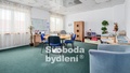 Prodej komerční nemovitosti 879 m², Srbice