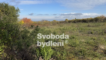 Pronájem specifického pozemku 20 330 m², Holubice