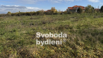 Pronájem specifického pozemku 20 330 m², Holubice