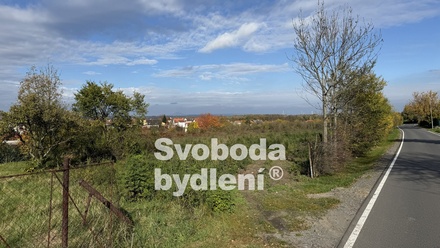 Pronájem specifického pozemku 20 330 m², Holubice