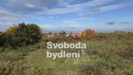 Pronájem specifického pozemku 20 330 m², Holubice
