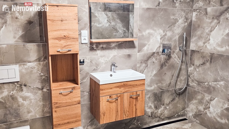 Pronájem bytu 2+1 69 m², Brno-Židenice