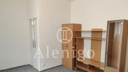 Prodej bytu 2+1 51 m², Praha - Žižkov