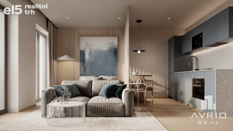 Prodej bytu 1+kk 32 m², Brno - Husovice