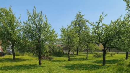 Prodej stavebního pozemku 490 m², Sedlec