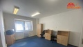Pronájem výrobního prostoru 4 200 m², Česká Skalice
