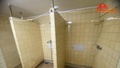 Pronájem výrobního prostoru 4 200 m², Česká Skalice