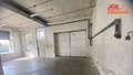 Pronájem výrobního prostoru 4 200 m², Česká Skalice