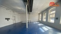 Pronájem výrobního prostoru 4 200 m², Česká Skalice
