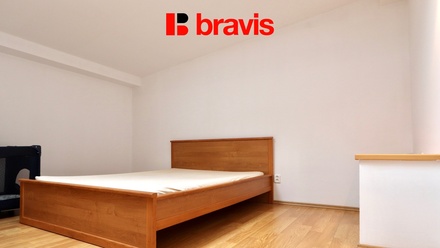 Pronájem bytu 1+kk 45 m², Brno - Staré Brno
