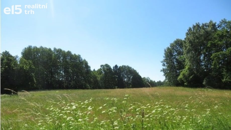 Prodej lesa 75 440 m², Kolinec - Sluhov