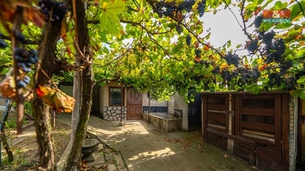 Prodej rodinného domu 142 m², Starý Poddvorov