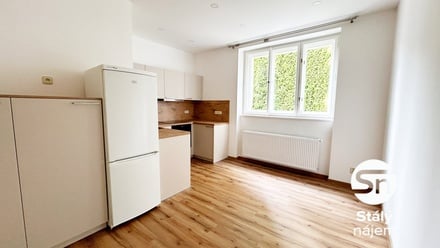 Pronájem bytu 2+1 80 m², Praha - Holešovice