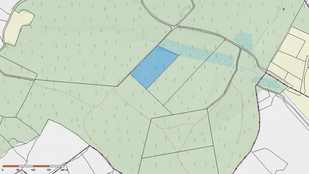 Prodej lesa 154 293 m², Milevsko