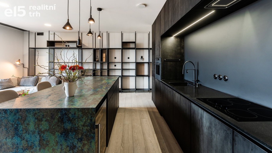 Prodej bytu 4+kk 116 m², Praha - Žižkov