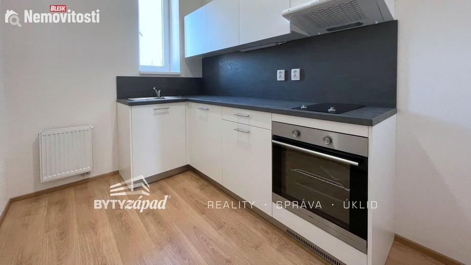 Pronájem bytu 1+1 41 m², Plzeň - Jižní Předměstí