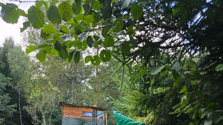 Pronájem zahrady 261 m², Radvanice