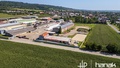Prodej výrobního prostoru 900 m², Dolany