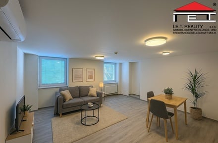 Pronájem bytu 1+kk 65 m², Brno-město
