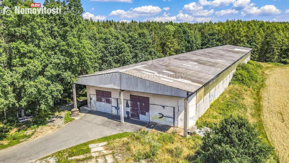 Pronájem výrobního prostoru 100 m², Horní Lukavice