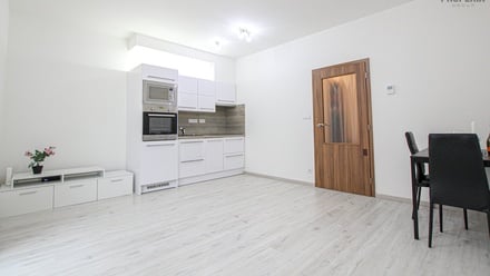 Pronájem bytu 1+kk 35 m², Brno - Žebětín