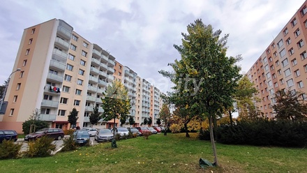 Pronájem bytu 1+1 33 m², Třebíč - Horka-Domky