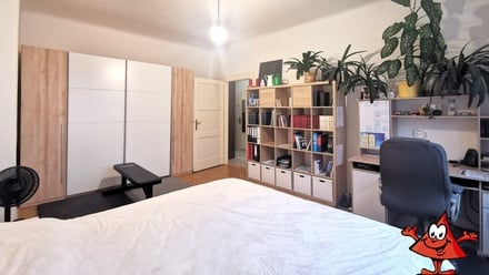 Pronájem bytu 1+1 53 m², Praha - Žižkov