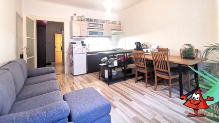 Pronájem bytu 1+1 53 m², Praha - Žižkov