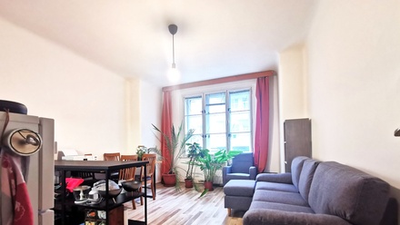 Pronájem bytu 1+1 53 m², Praha - Žižkov