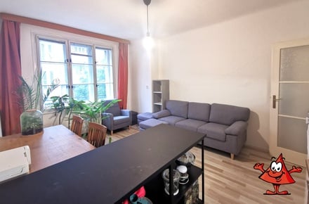 Pronájem bytu 1+1 53 m², Praha - Žižkov