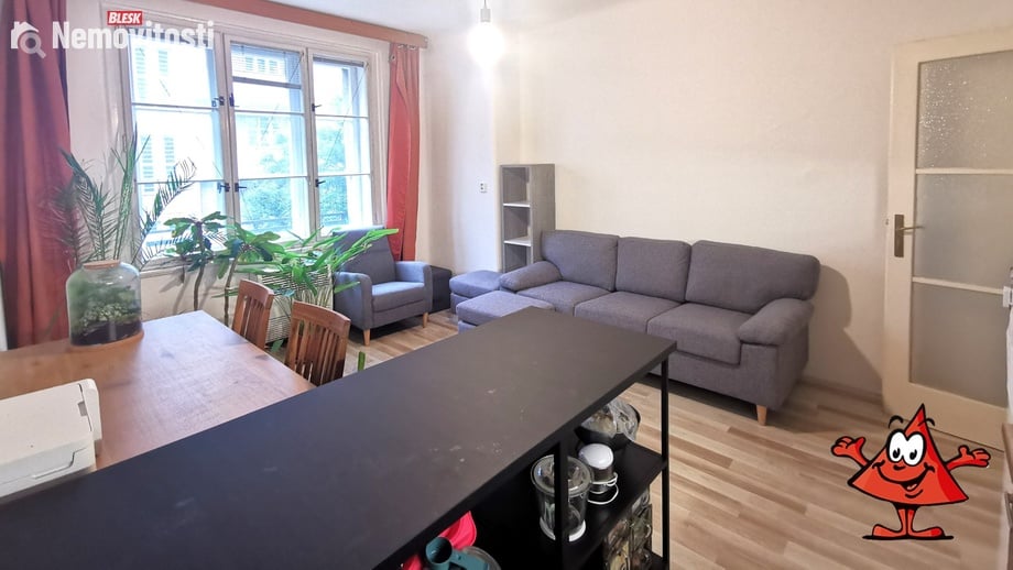 Pronájem bytu 1+1 53 m², Praha - Žižkov