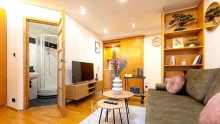 Prodej bytu 1+kk 28 m², Praha - Nové Město