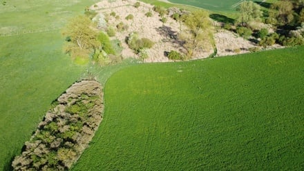 Prodej louky 28 150 m², Městec Králové