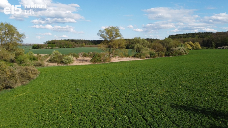 Prodej louky 28 150 m², Městec Králové