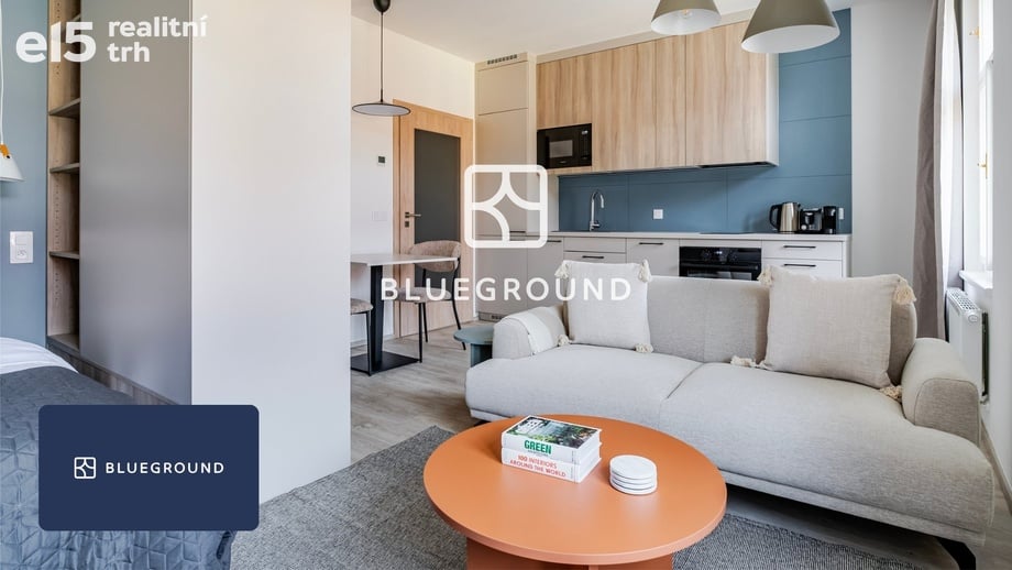 Pronájem bytu 1+kk 34 m², Praha - Nusle