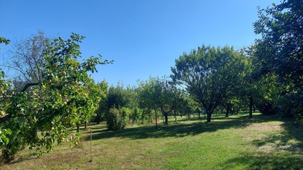 Prodej stavebního pozemku 3 437 m², Kroměříž - Trávník