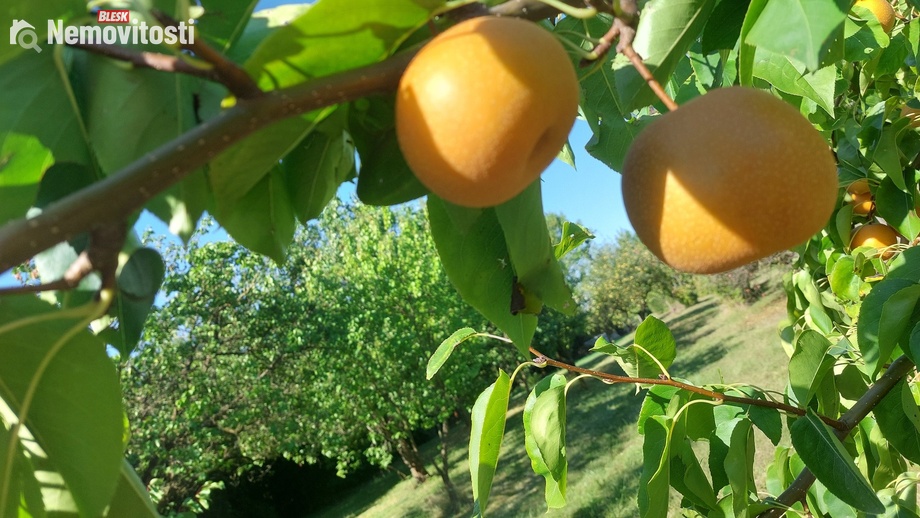 Prodej stavebního pozemku 3 437 m², Kroměříž - Trávník