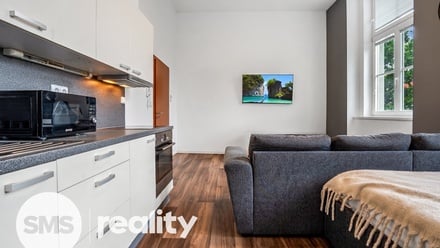 Pronájem bytu 1+kk 34 m², Opava (nečleněná část města)