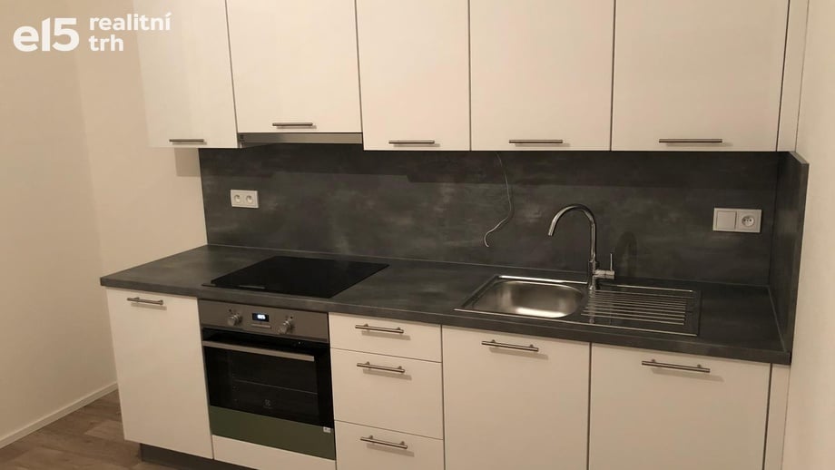 Pronájem bytu 1+1 48 m², Brno - Černovice